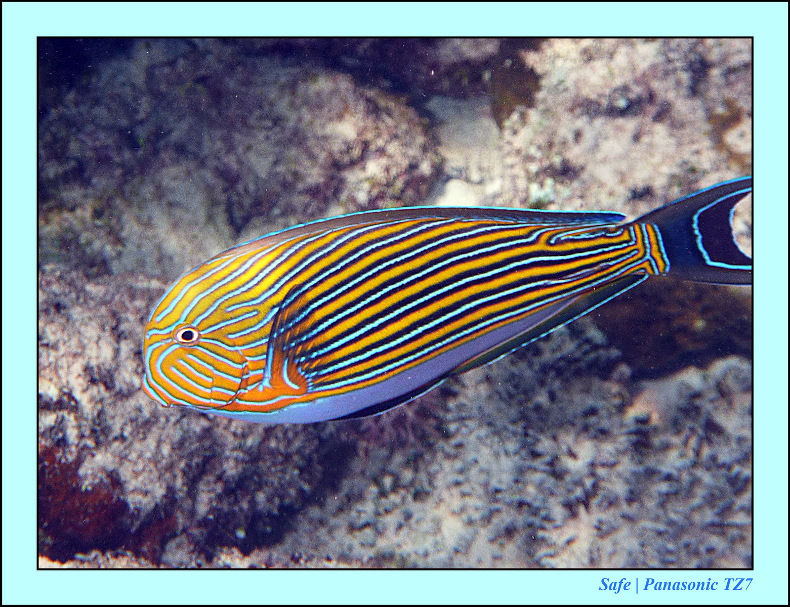 2012 - 07 - Gili - 58